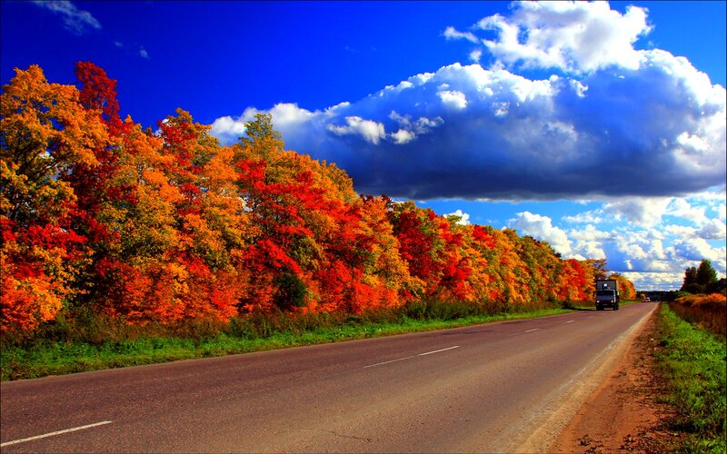 Autumn Trees Along Road — Blue
