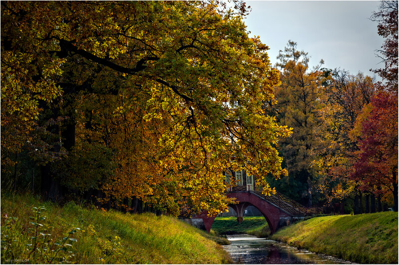 Autumn Trees and Bridge — Yellow