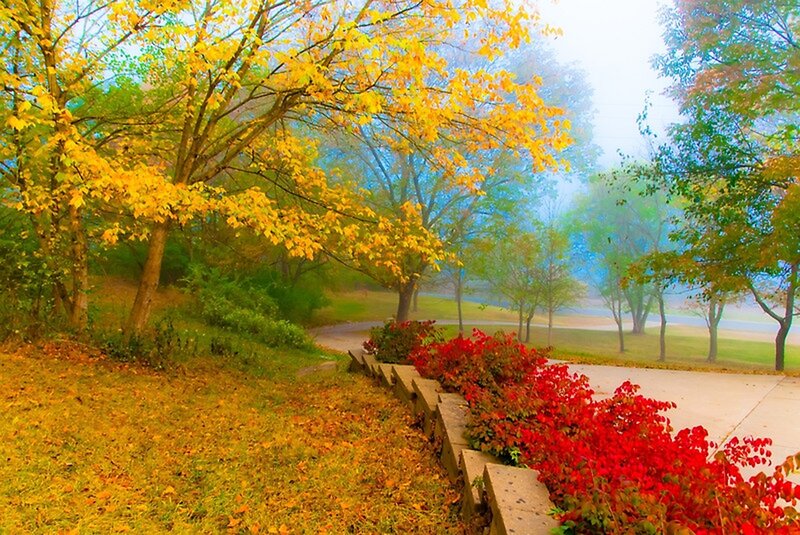Autumn Trees and Bushes — Yellow