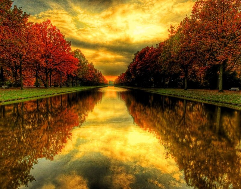 Autumn Trees and Canal