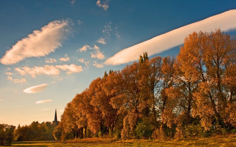 Autumn Trees and Church