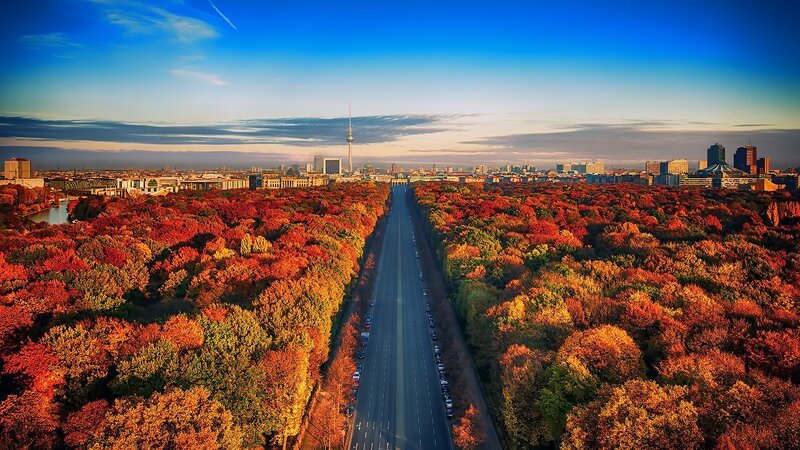 Autumn Trees and City — Red