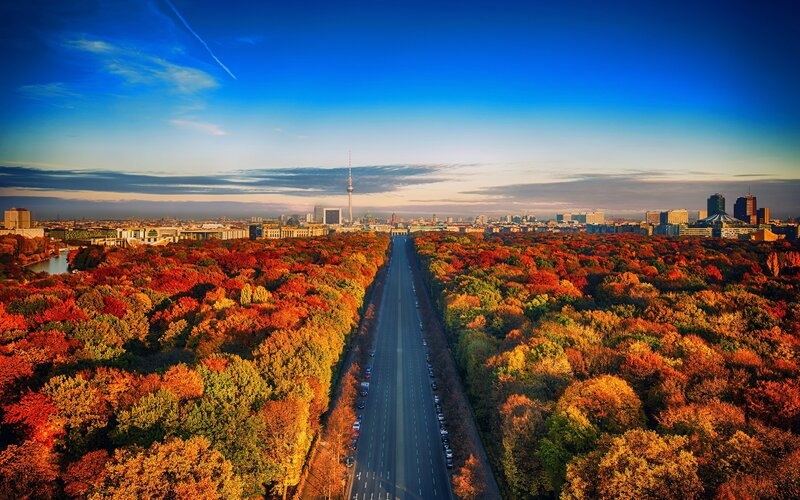 Autumn Trees and City