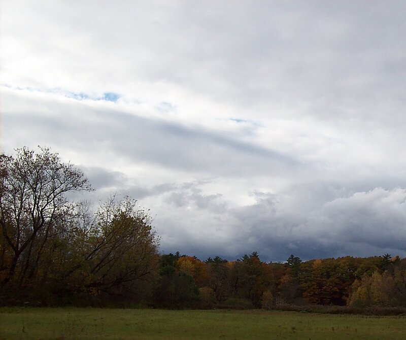 Autumn Trees and Cloudy Sky