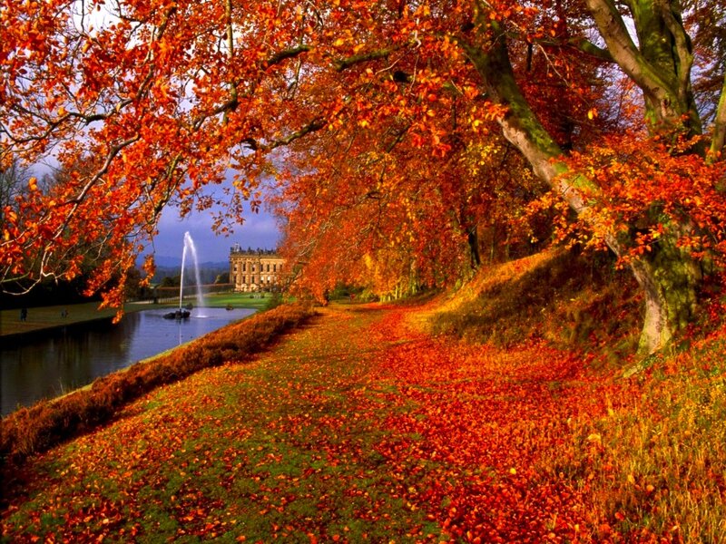 Autumn Trees and Fountain — Red