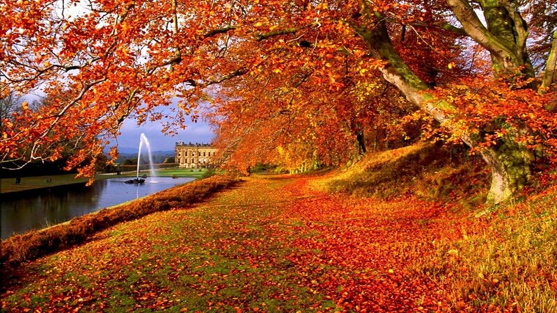 Autumn Trees and Fountain