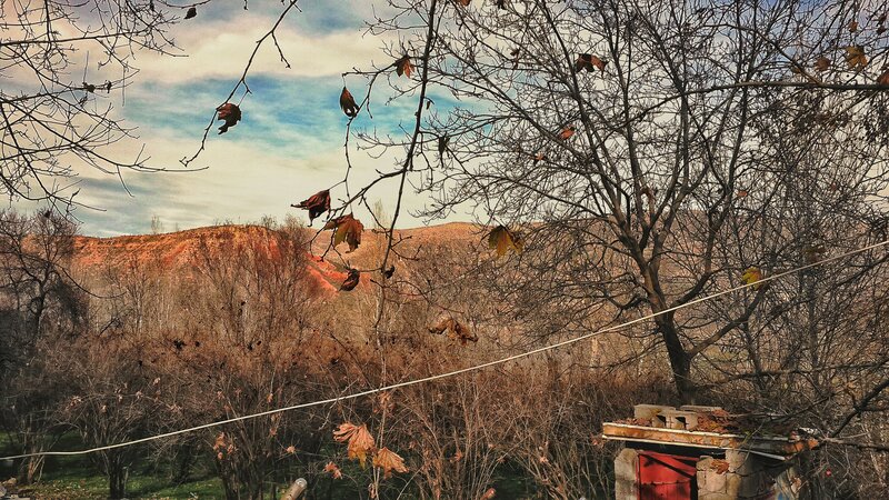 Autumn Trees and Hills