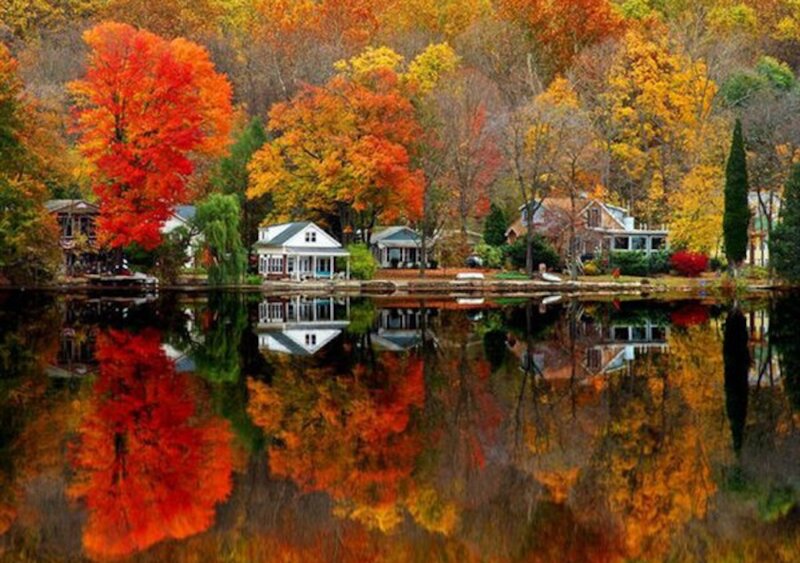 Autumn Trees and Houses — Red, Serene