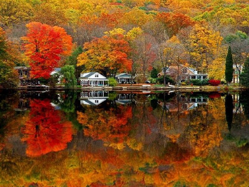 Autumn Trees and Houses — Red