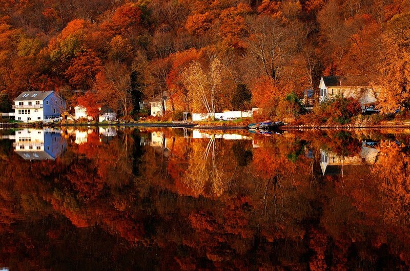Autumn Trees and Houses