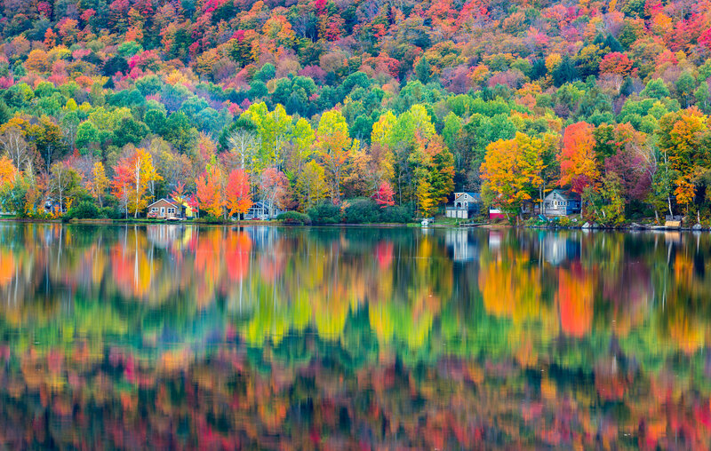 Autumn Trees and Lake — Red