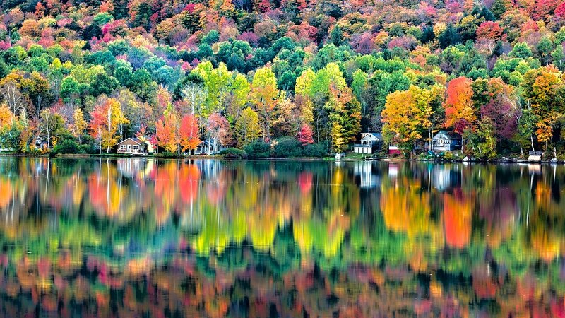 Autumn Trees and Lake
