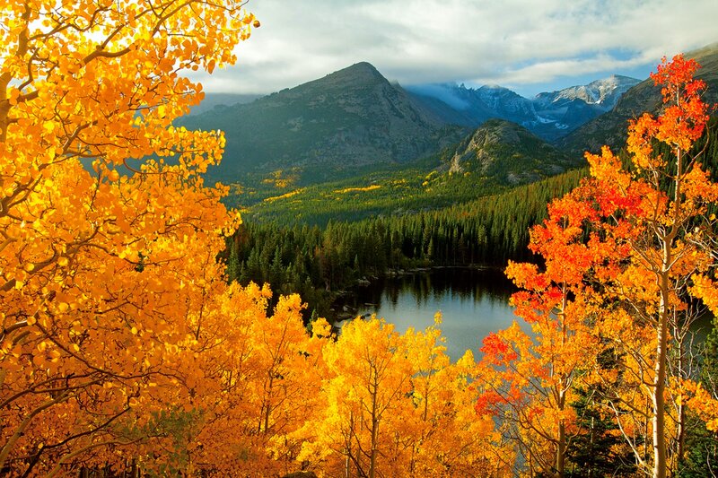 Autumn Trees and Lake — Yellow