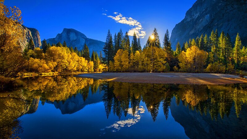Autumn Trees and Mountain — Blue