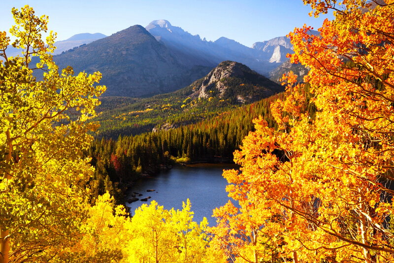 Autumn Trees and Mountain Lake
