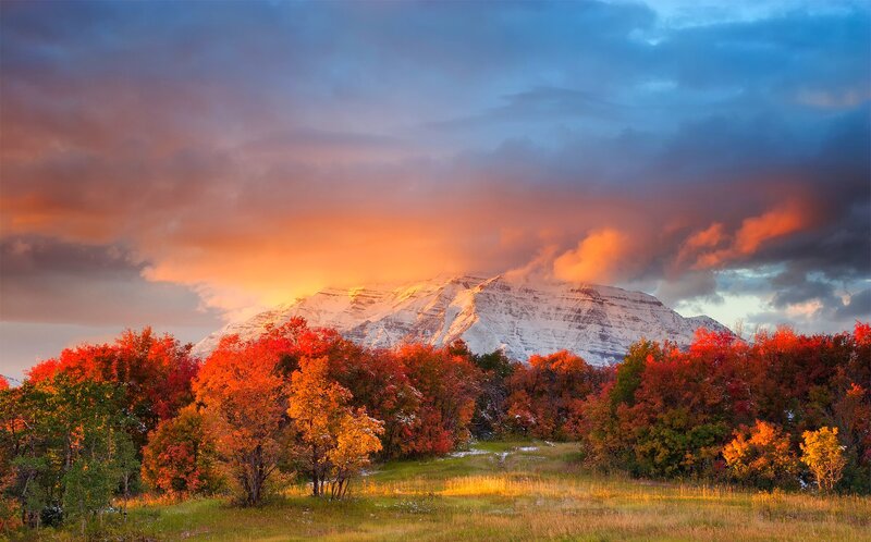 Autumn Trees and Mountain — Orange, Dramatic