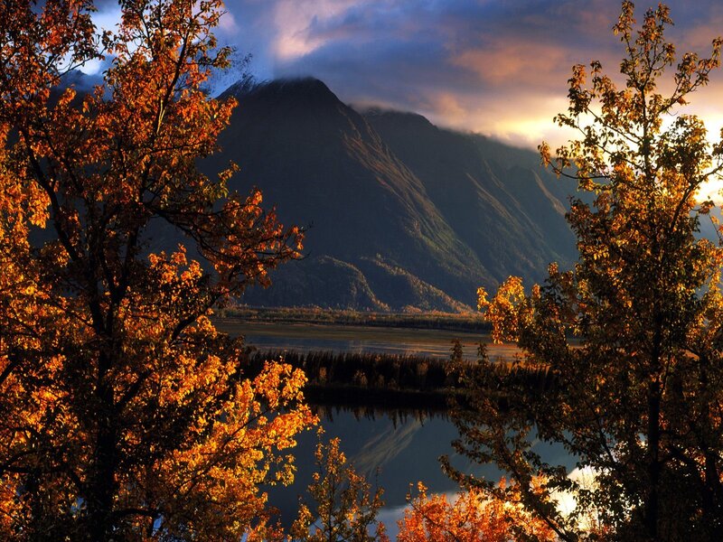 Autumn Trees and Mountain — Orange, Serene