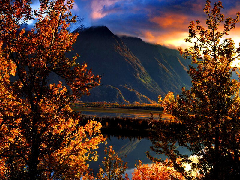 Autumn Trees and Mountain — Orange