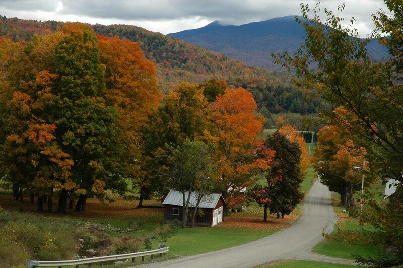 Autumn Trees and Mountain