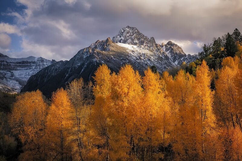 Autumn Trees and Mountain — Yellow, Dramatic