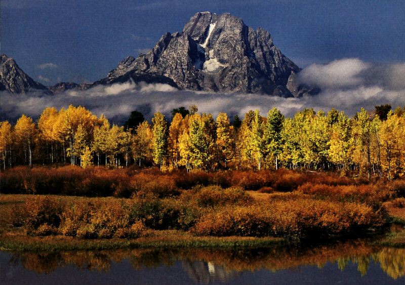 Autumn Trees and Mountain — Yellow, Serene
