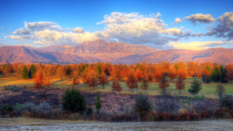 Autumn Trees and Mountains — Blue, Serene, Photograph, Clouds