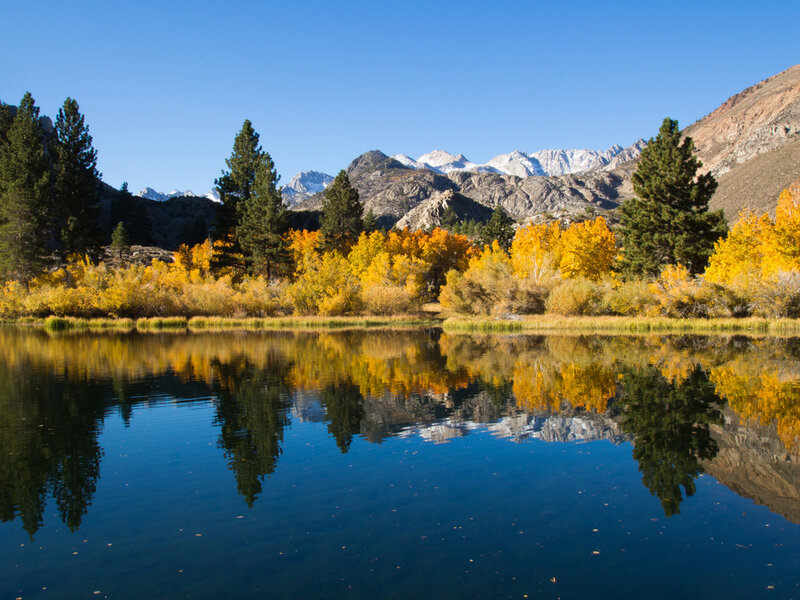 Autumn Trees and Mountains — Blue