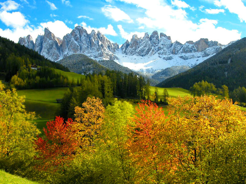Autumn Trees and Mountains — Green