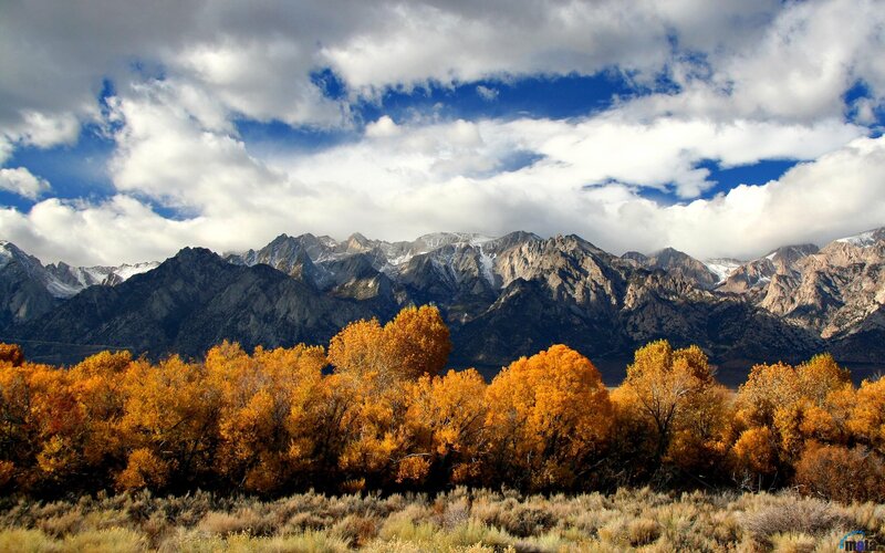 Autumn Trees and Mountains — Orange, Dramatic, Photograph, Clouds