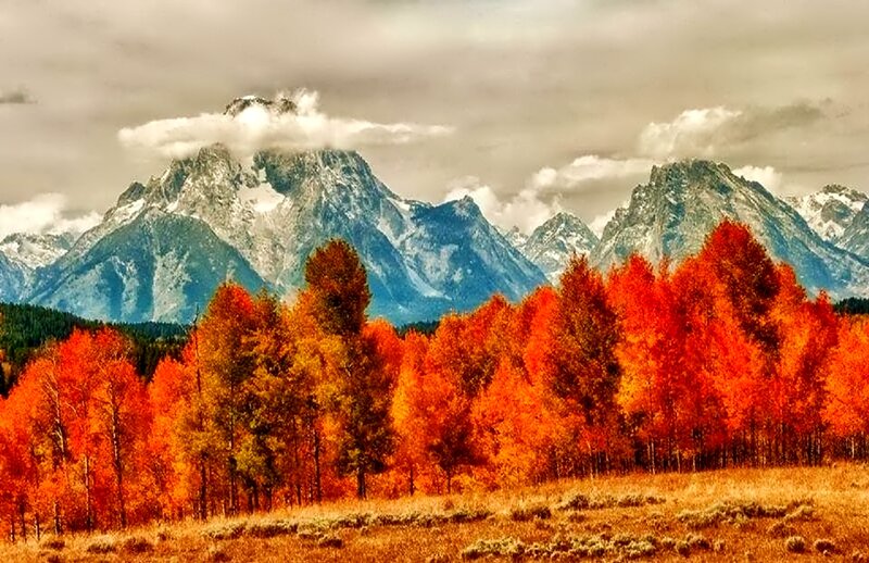 Autumn Trees and Mountains — Orange, Dramatic, Photograph