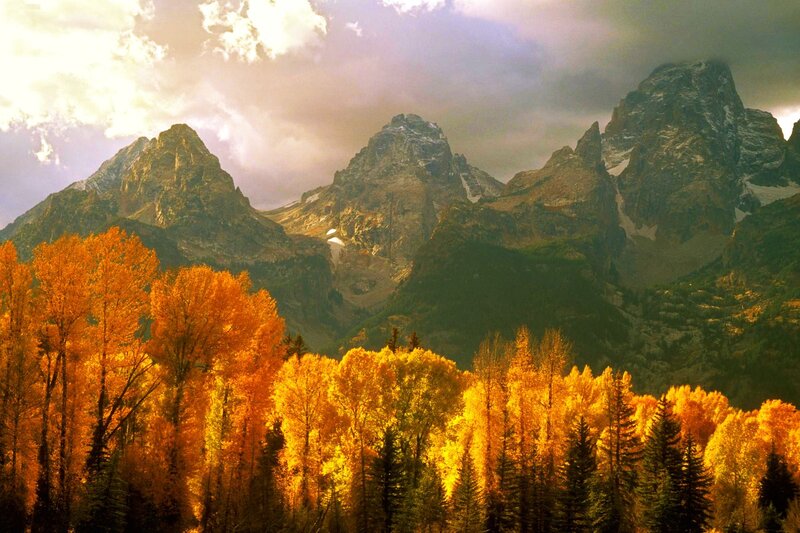 Autumn Trees and Mountains — Orange, Dramatic
