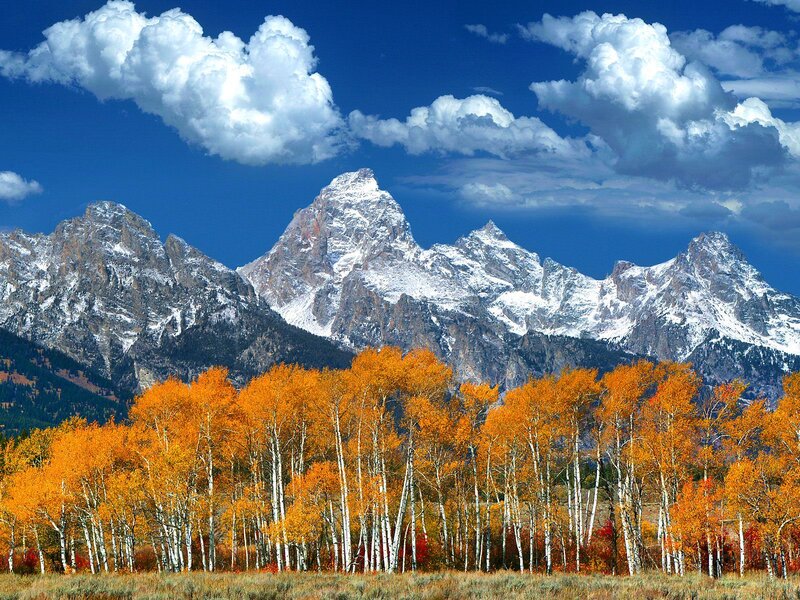 Autumn Trees and Mountains — Orange, Serene, Photograph, Clouds
