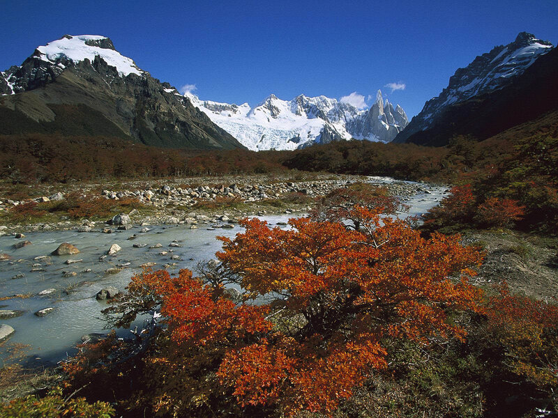 Autumn Trees and Mountains — Orange