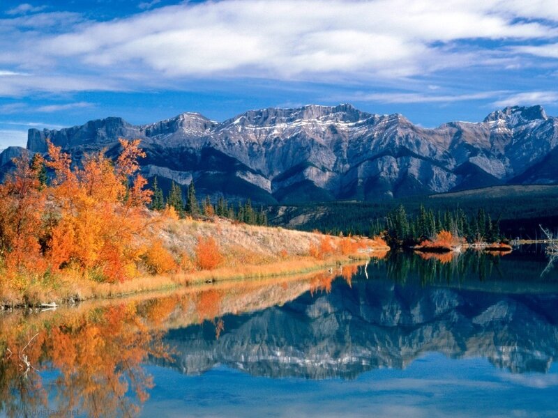 Autumn Trees and Mountains — Photograph