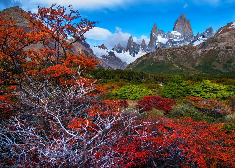 Autumn Trees and Mountains — Red, Dramatic, Photograph