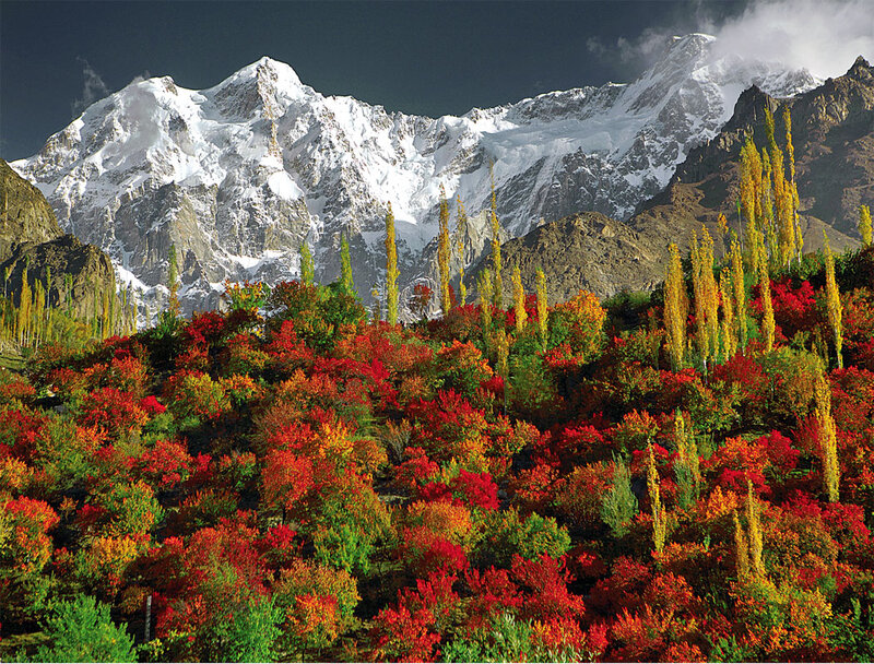 Autumn Trees and Mountains — Red, Dramatic