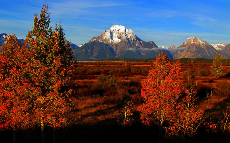 Autumn Trees and Mountains — Red, Serene