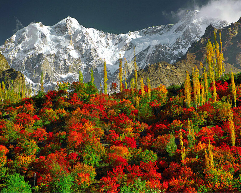 Autumn Trees and Mountains — Red