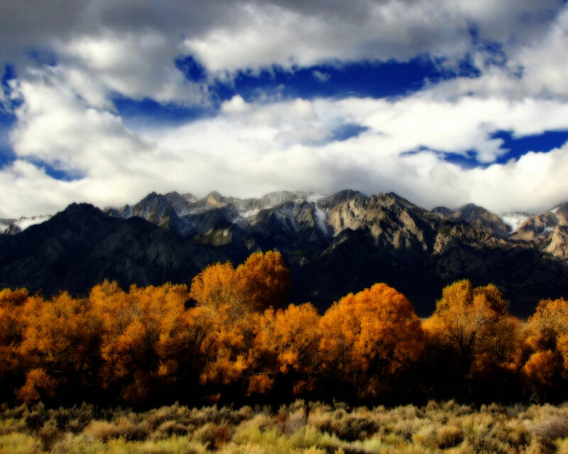 Autumn Trees and Mountains