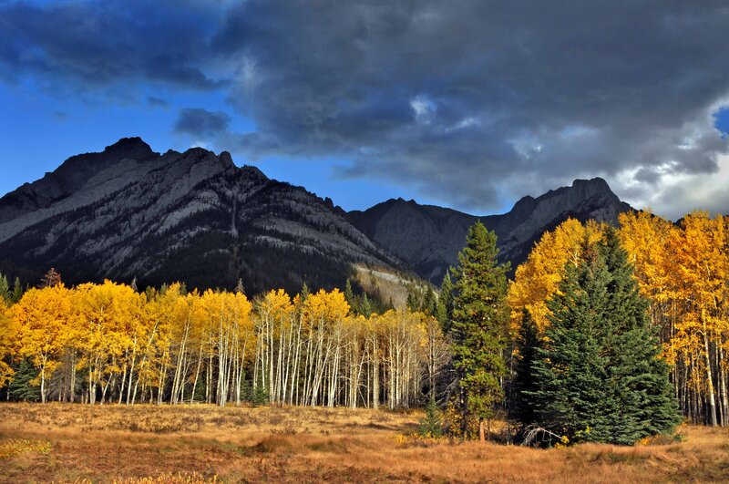Autumn Trees and Mountains — Yellow, Dramatic, Photograph