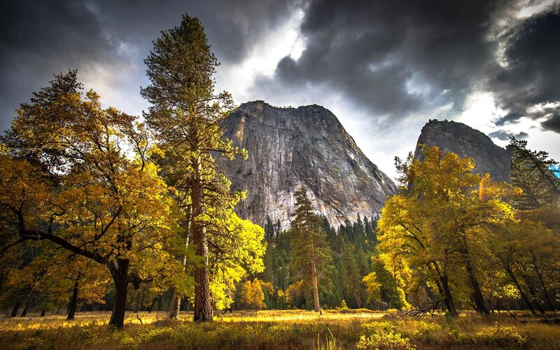 Autumn Trees and Mountains — Yellow, Dramatic