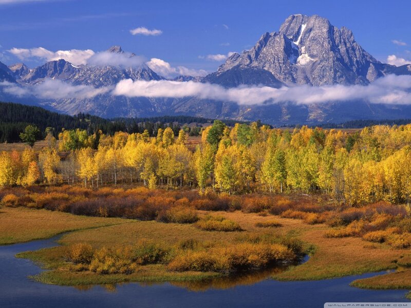 Autumn Trees and Mountains — Yellow