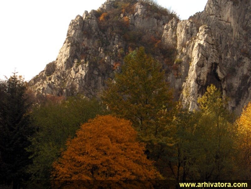 Autumn Trees and Rocky Cliff
