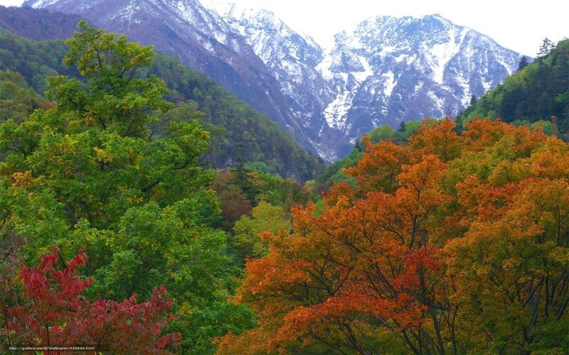 Autumn Trees and Snow-capped Mountains — Orange