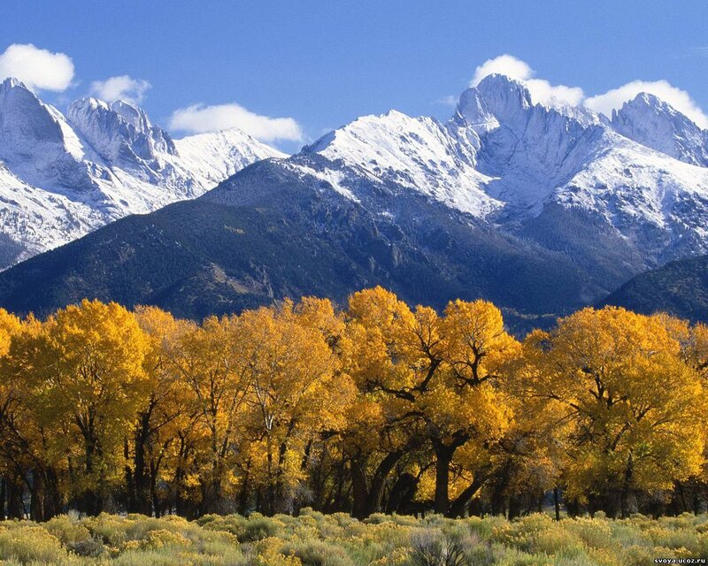 Autumn Trees and Snow-capped Mountains