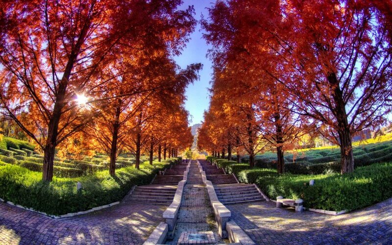 Autumn Trees and Stairs — Red