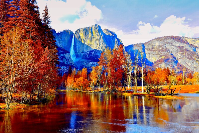 Autumn Trees and Waterfall