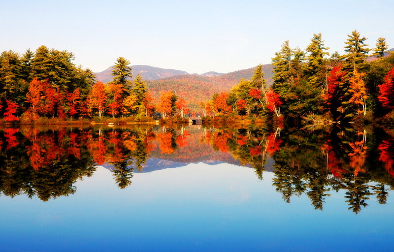 Autumn Trees at Lake — Blue, Serene