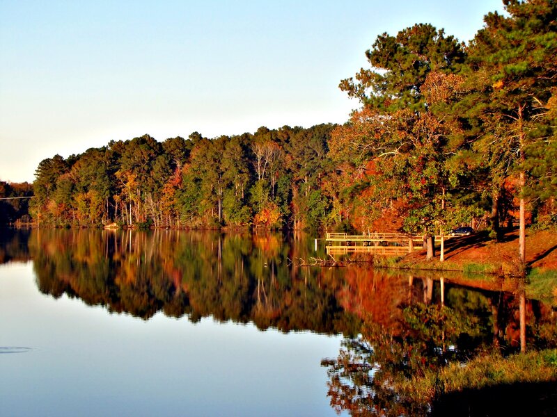 Autumn Trees at Lake — Green