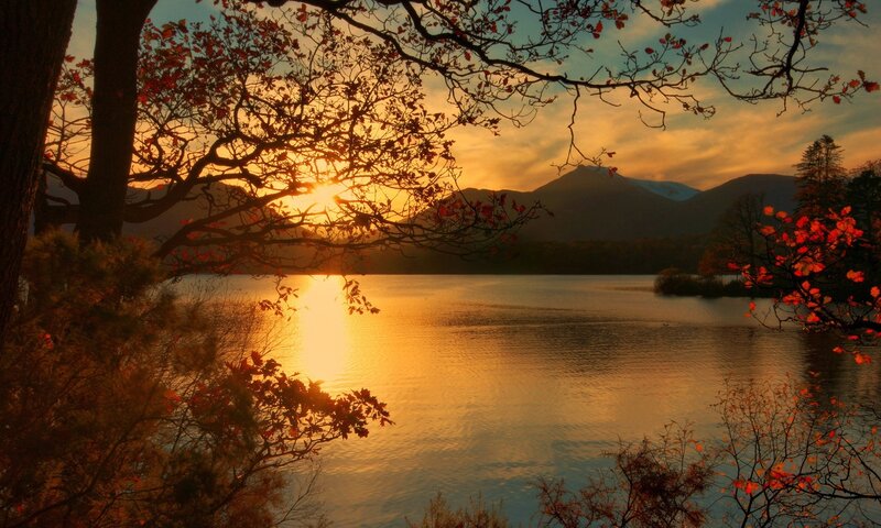 Autumn Trees at Lake — Orange
